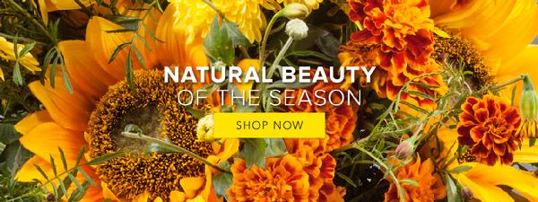 Florist Midlothian VA / Midlothian Florist /  flower delivery from Lasting Florals in Midlothian VA