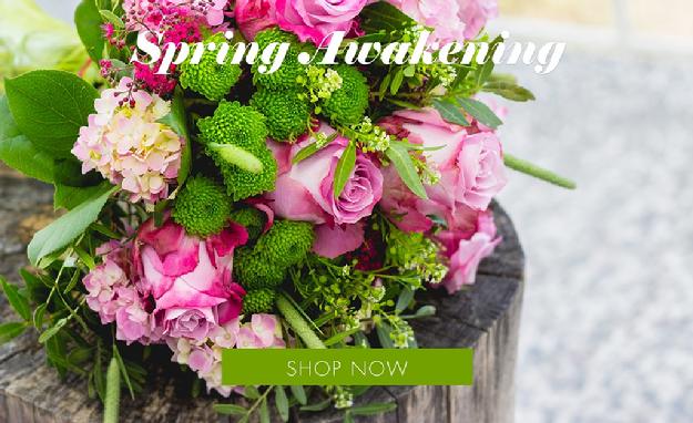 Florist Midlothian VA / Midlothian Florist /  flower delivery from Lasting Florals in Midlothian VA