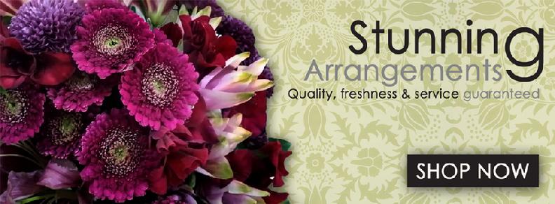 FLORIST 23112